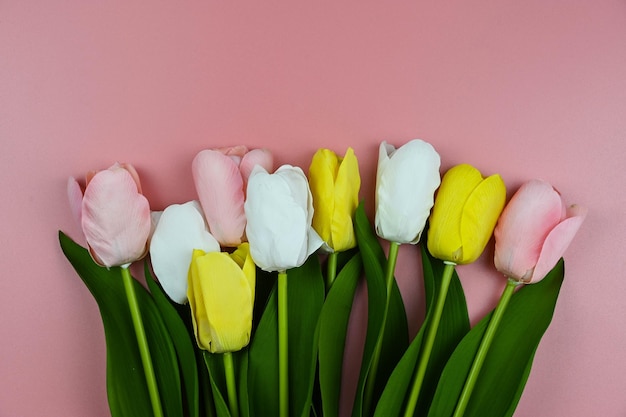 Bouquet tulips on a pink background