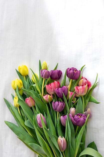 Bouquet of tulips on a white background top view