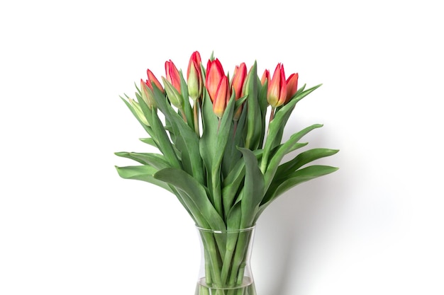 Bouquet of tulips on a white background