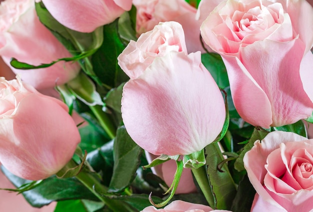 Bouquet van roze rozenknoppen met petalen selectieve focus