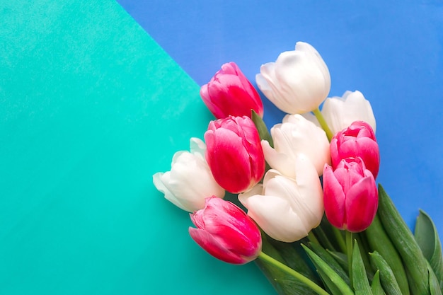 Bouquet van witte en roze tulpen op kleur achtergrond kopieer ruimte voor de tekst