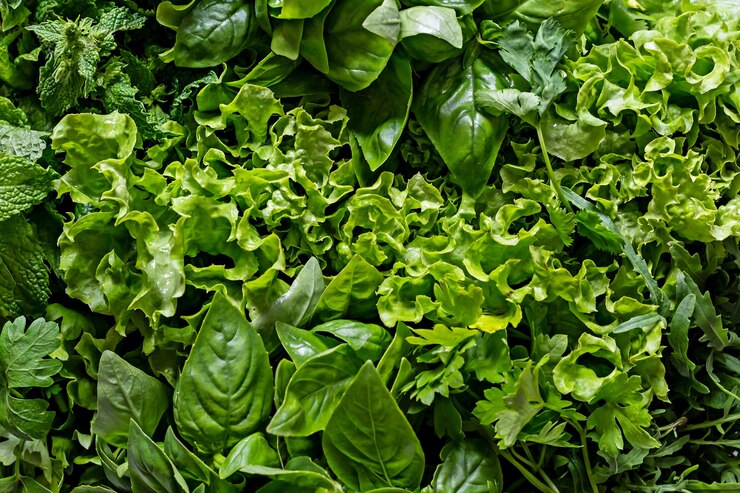 料理用の籐のバスケットにさまざまな庭の芳香性ハーブハーブとスパイスの花束