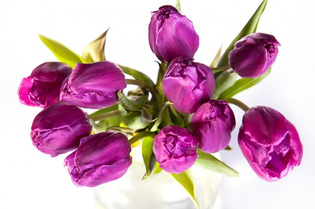 bouquet of violet tulips