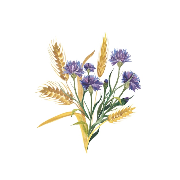 Bouquet of watercolor cornflowers and wheat ears