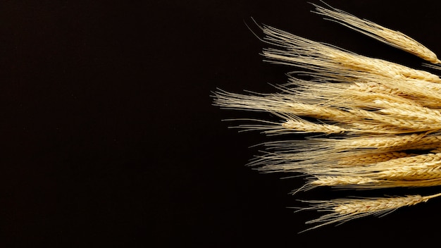 Photo bouquet of wheat on black background