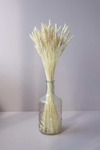 Bouquet of wheat spikelets in transparent vase on white background