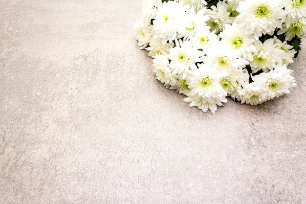 Bouquet of white chrysanthemum flowers