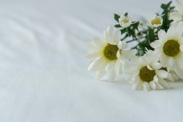 Bouquet of white chrysanthemums on a white wooden background. Sunlight and shadow.