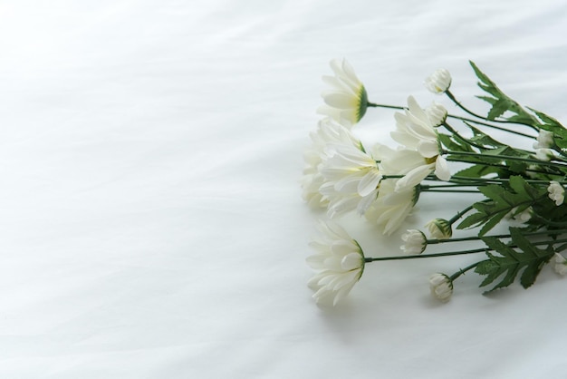 Bouquet of white chrysanthemums on a white wooden background. Sunlight and shadow.