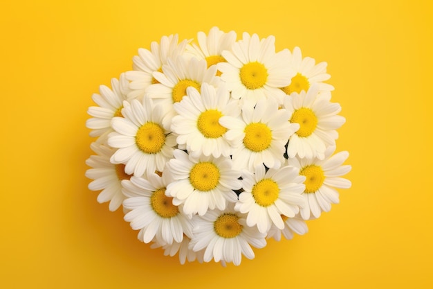 Bouquet of white daisies on yellow background top view