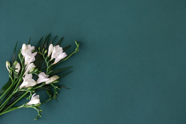 Bouquet of white exotic flowers on a dark blue background