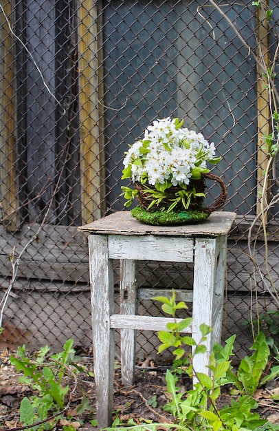 Bouquet white flowers of an apple-tree in a pot mug in the spring