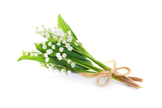 Bouquet of white flowers lilies of the valley isolated on white background