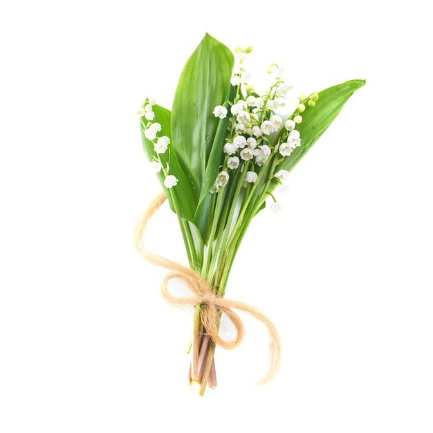 Bouquet of white flowers lilies of the valley with ribbon isolated on white background
