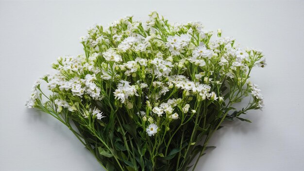 A bouquet of white flowers on the white background high quality photo