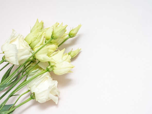 Bouquet of white Lisianthus copy space