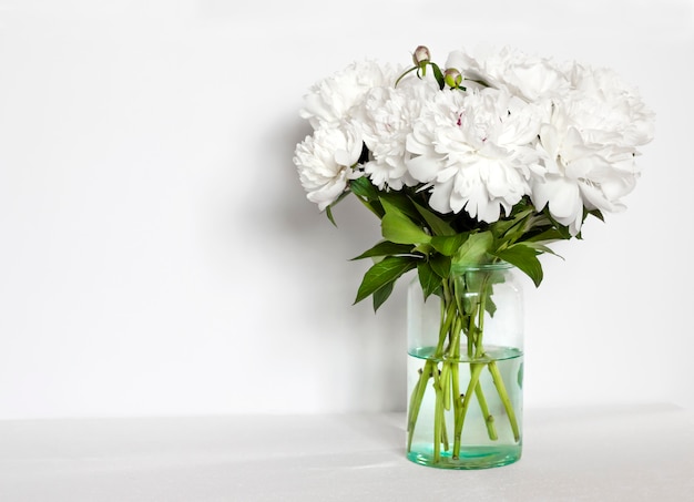 Bouquet of white peonies in a glass vase on white wall background