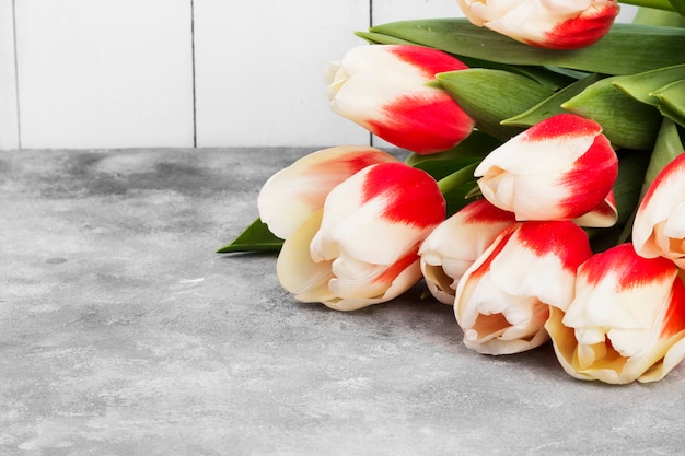 Photo bouquet of white pink tulips on a gray background. copy space