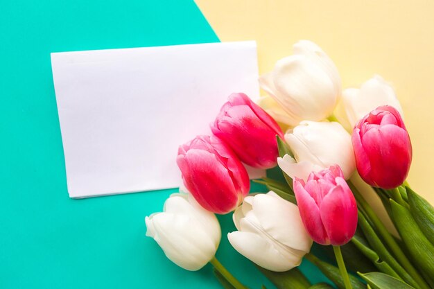 Bouquet of white and pink tulips and on yellow and green background Easter or Mothers Day greeting card Copy space for the text