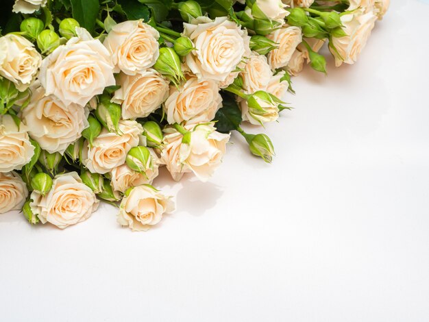 Bouquet of white roses copy space