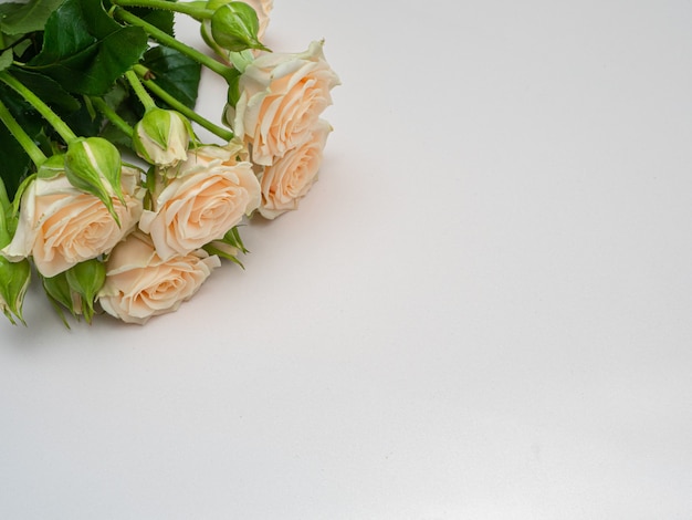 Bouquet of white roses copy space