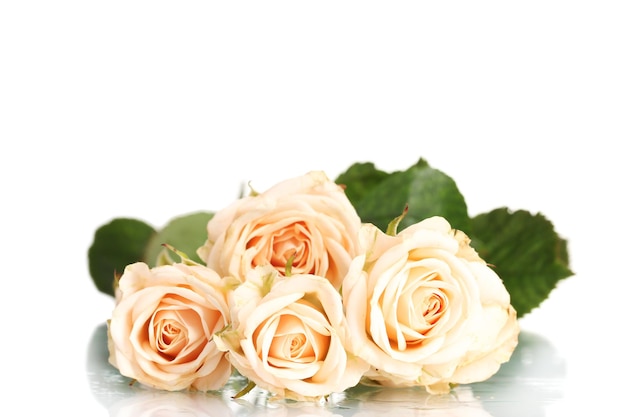 Bouquet of white roses isolated on white