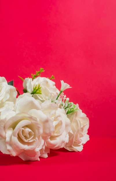 Bouquet of white roses on red background with copy space for your text