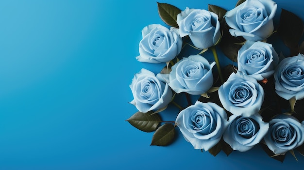 A bouquet of white roses with a blue background