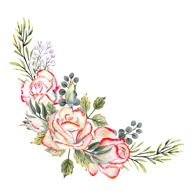 A bouquet of white roses with a pink edge, leaves, berries, decorative twigs. Watercolor illustrations for the design of greeting cards, invitations, etc.