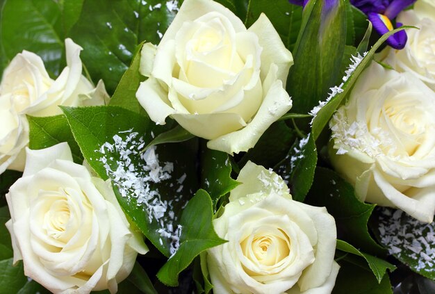 Bouquet of white roses