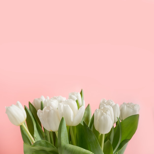 Bouquet of white tulip on pink. Floral pattern.