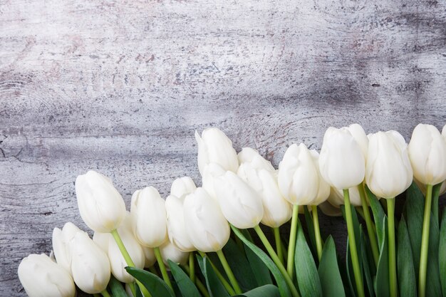 Foto bouquet di tulipani bianchi. fiori di primavera