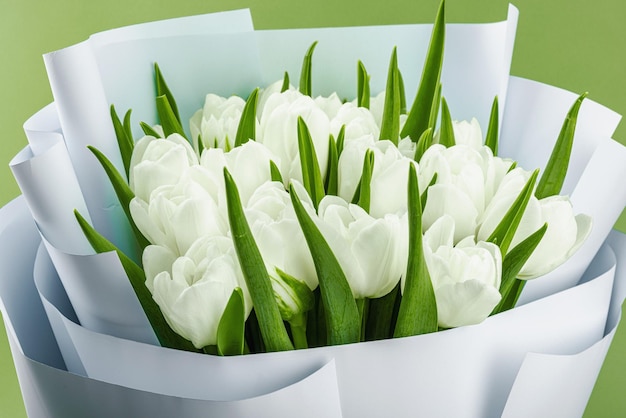 白いチューリップの花束がパステル緑の背景にいています花がいていますお祝いのコンセプトです