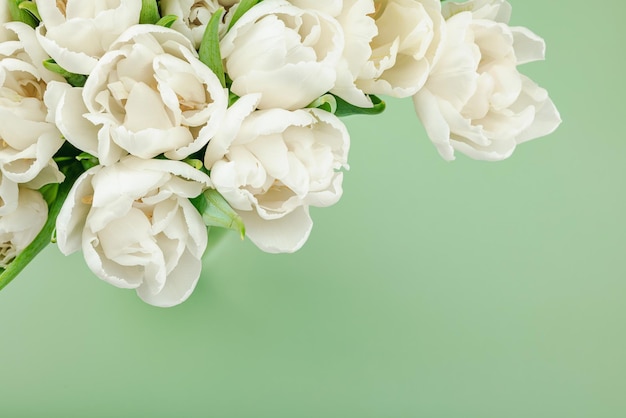 Foto un bouquet di tulipani bianchi su uno sfondo verde pastello in fiore