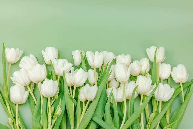 Foto un bouquet di tulipani bianchi su uno sfondo verde pastello in fiore