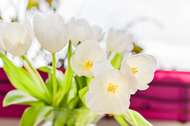 Букет из белых тюльпанов в вазе на сером фоне. Цветы в подарок любимому человеку. Скопируйте spce.