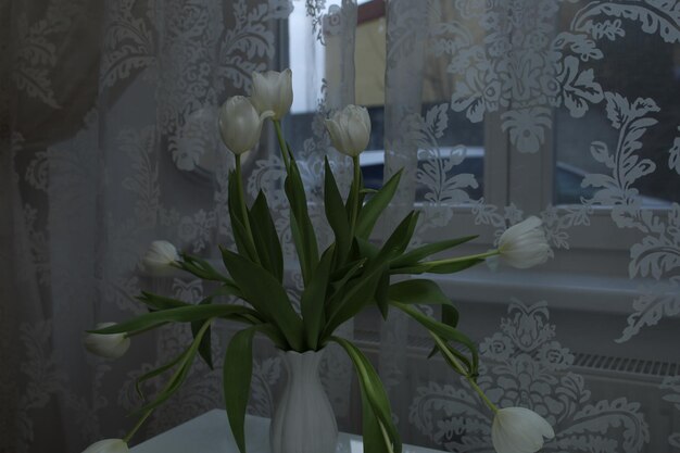 Bouquet of white tulips in a vase on the table by the window