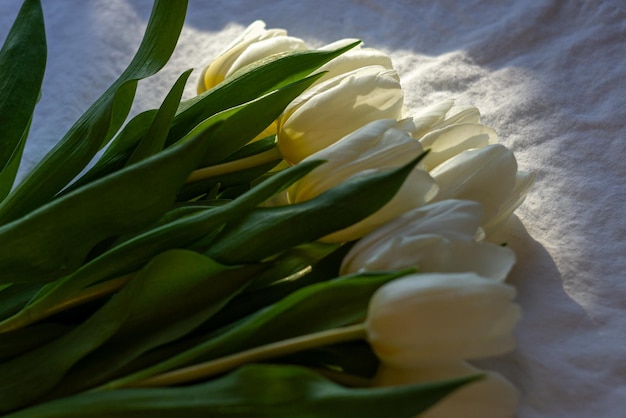 Bouquet of white tulips on a white sheet