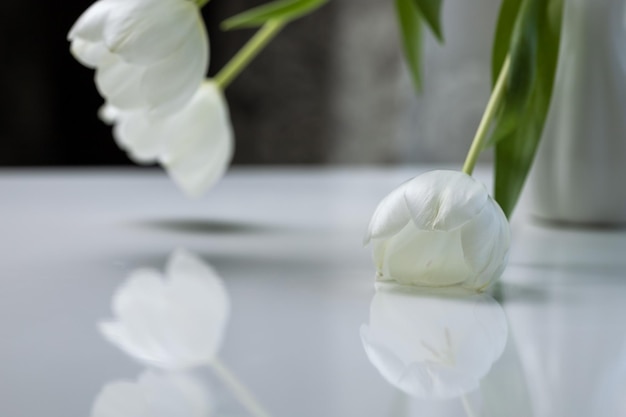 흰색 테이블에 흰색 꽃병에 흰색 튤립 꽃다발