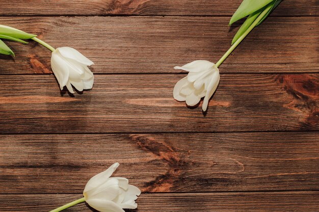 Bouquet of white tulips on a wooden background space for text