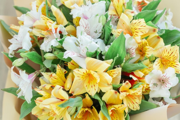 Mazzo di primo piano bianco e giallo di alstroemeria