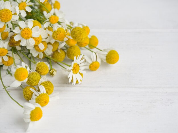 コピースペースと白い木製の背景に野生のヒナギクの花束