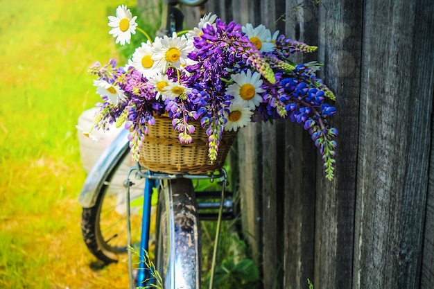 バスケットと自転車、夏、自然の中の野生の花の花束