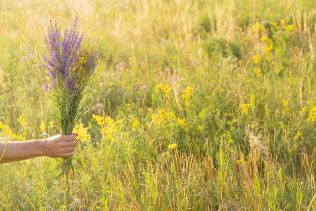 Bouquet of wild flowers in hand of man on blur meadow Concept of romantic relationships