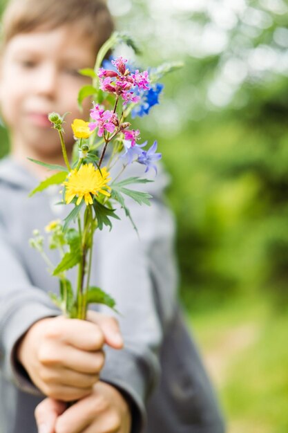 A bouquet of wild flowers in the hands of a boy closeup