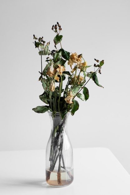 Bouquet of wilted flowers on a white background