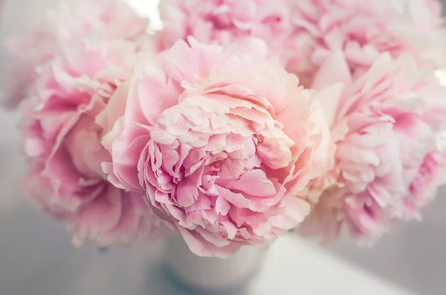 Bouquet with beautiful pink peonies blurred macro background