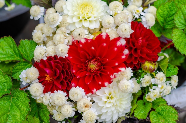 A bouquet with different colors.