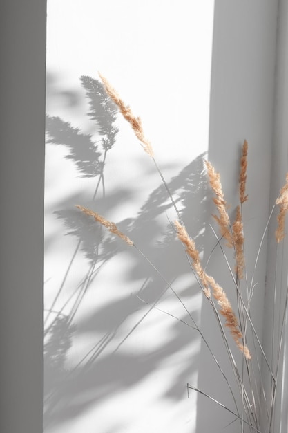 Bouquet with dry plants in the interior against the background of a gray wall and sunny sevta