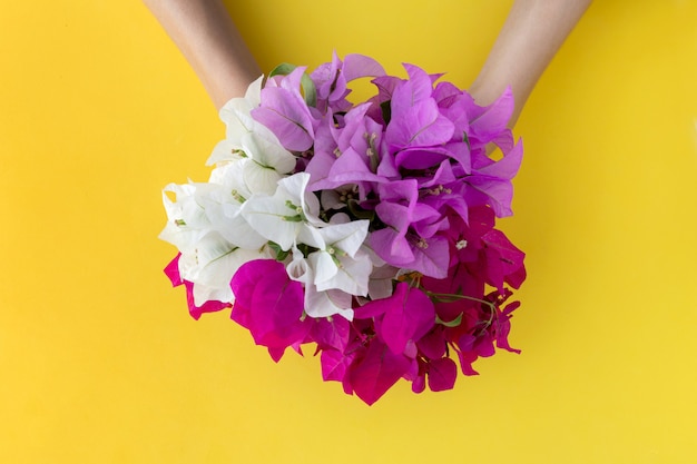 Bouquet with white and pink flower in womans hands on yellow background